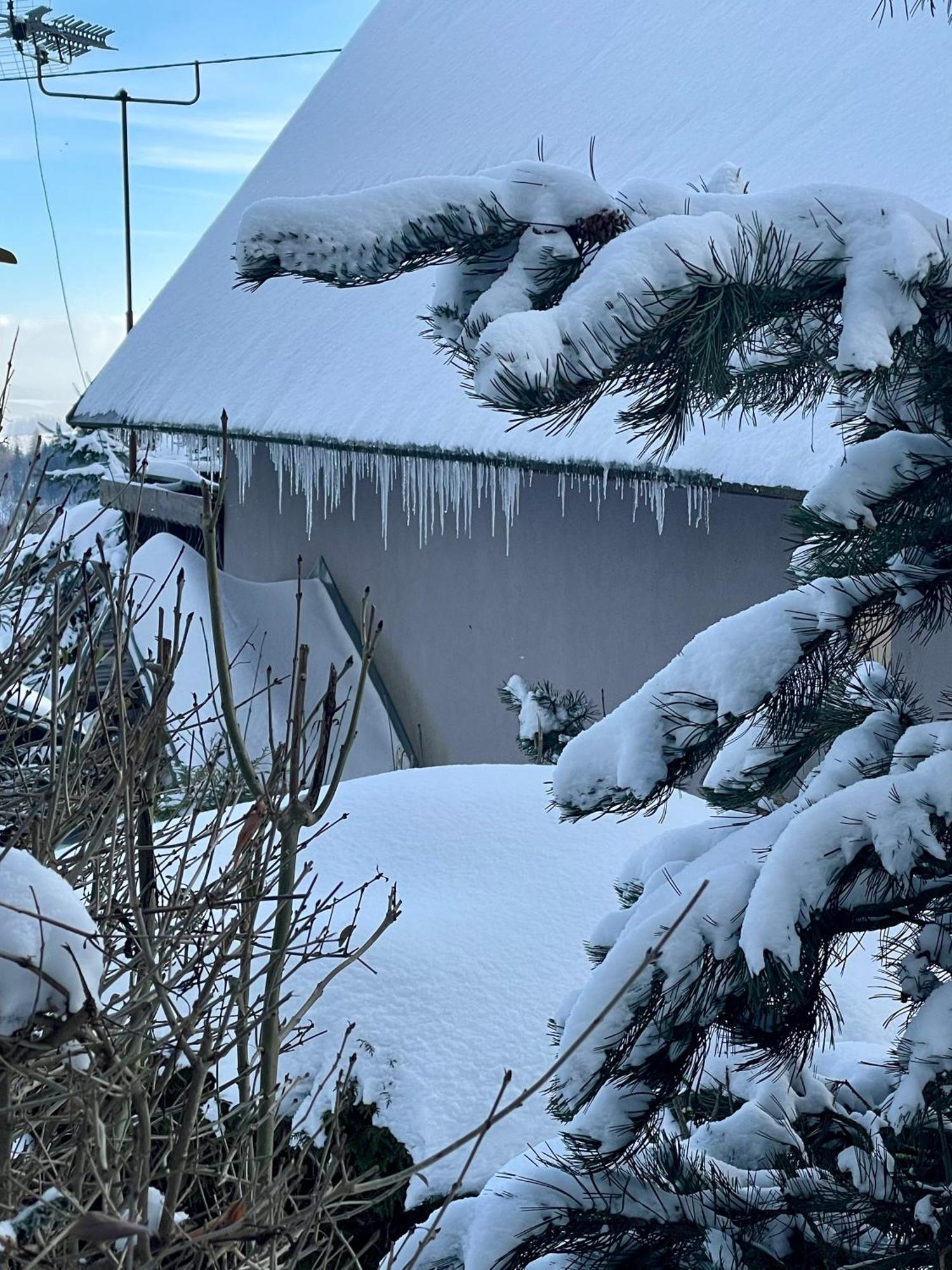 Rekreacni Horska Chata Na Nove Vsi 90 Dolní Moravice Exterior foto